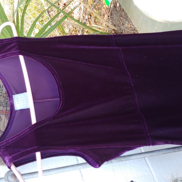 Velvet Elegant Purple Midi Sleeveless Dress - Picture 4 of 4